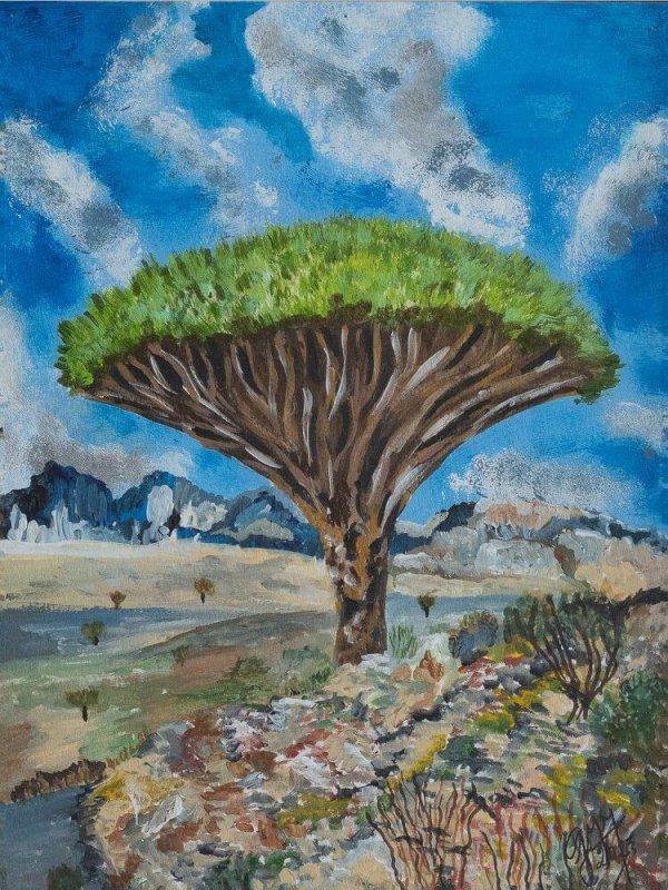 Árbol de Madagascar 1