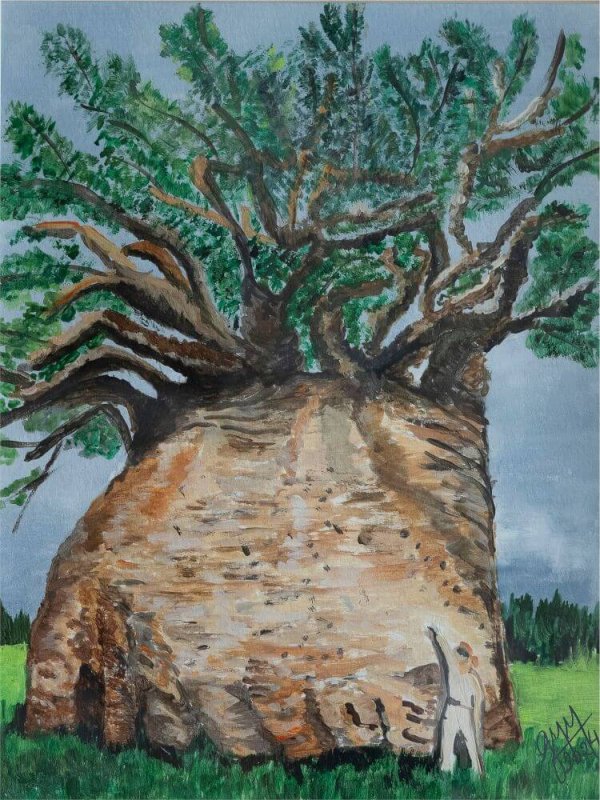 Árbol de Madagascar 2