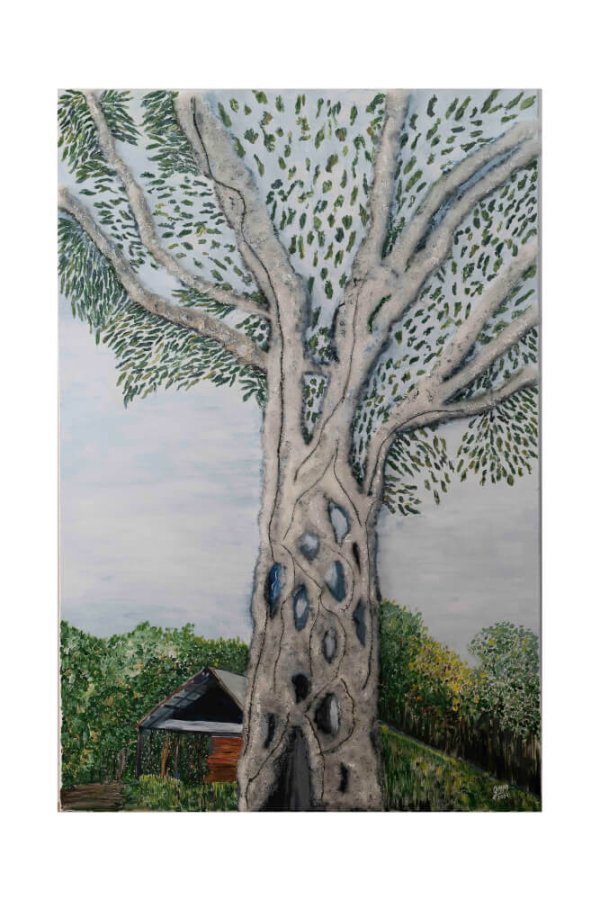 Árbol mostrando su interior