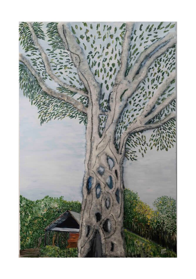Árbol mostrando su interior