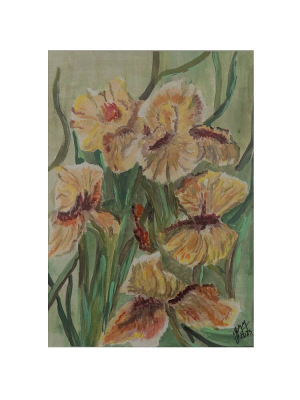 Flores