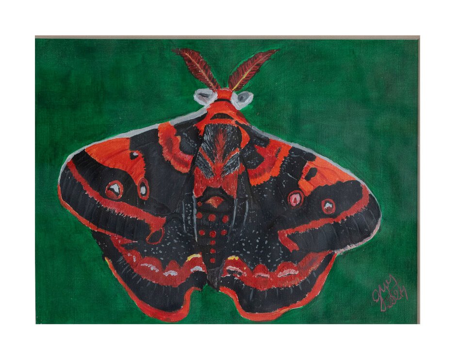 Mariposas 2