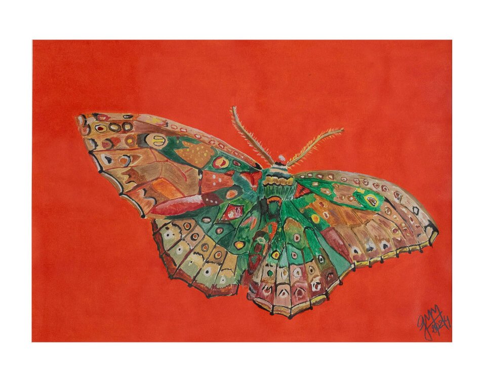 Mariposas 3