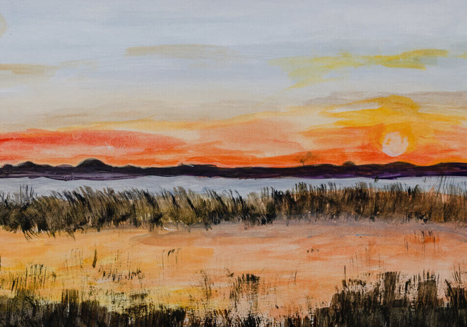 Atardecer en el humedal