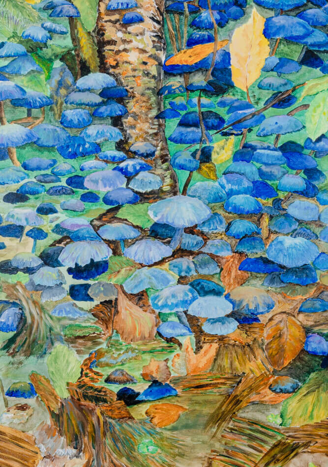 Bosque de zetas