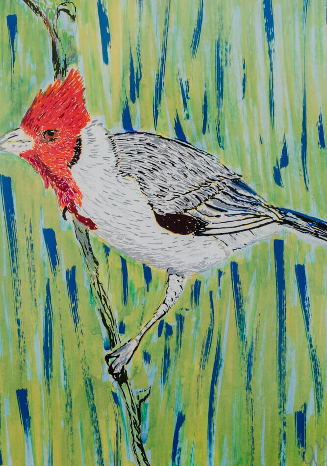Cardenal