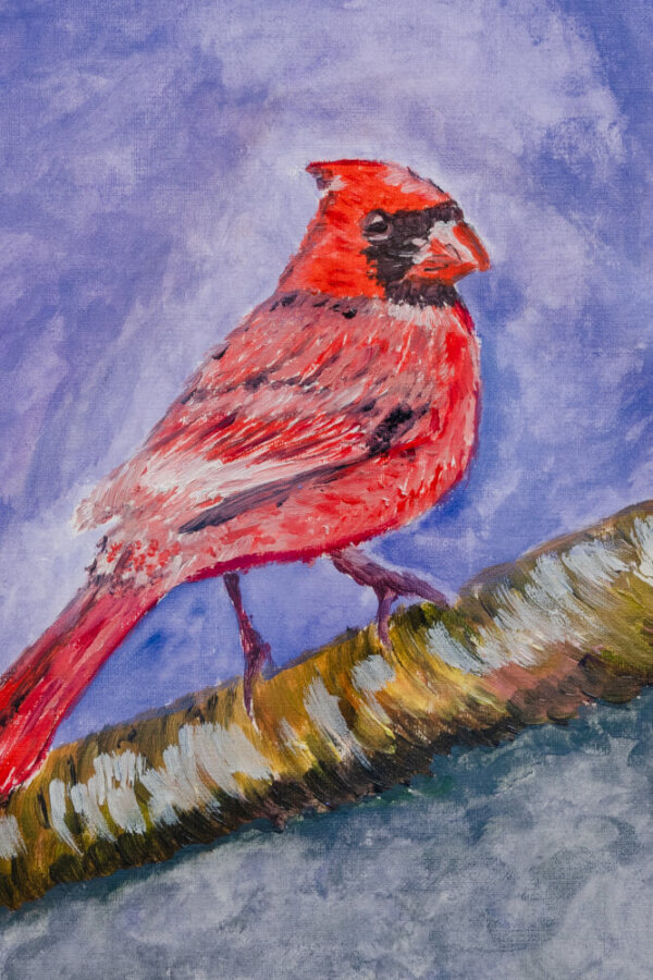 Cardenal 2