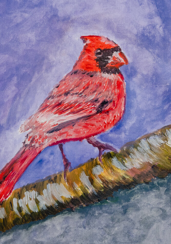 Cardenal 2