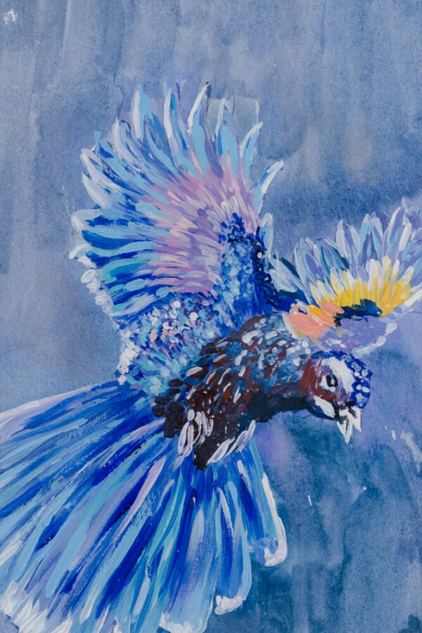 Guacamayo