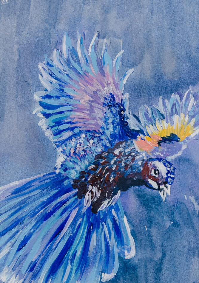 Guacamayo