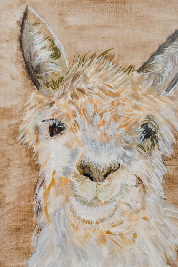 Llama