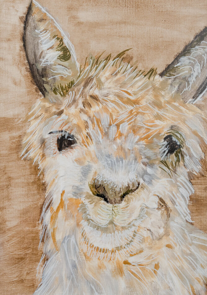 Llama