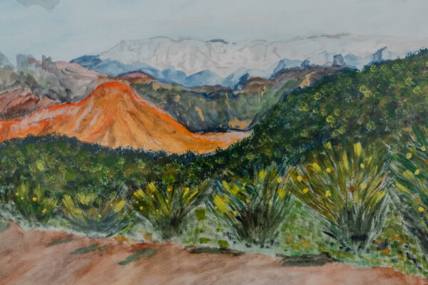 Monte y montaña