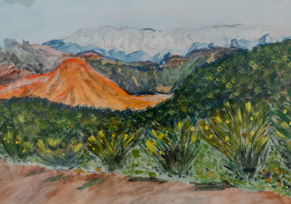 Monte y montaña