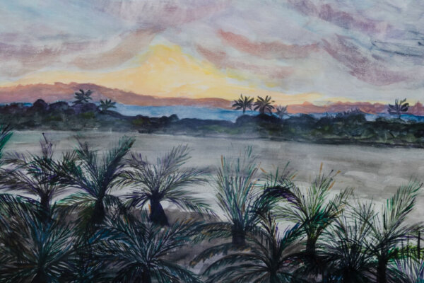 Paisaje de palmeras