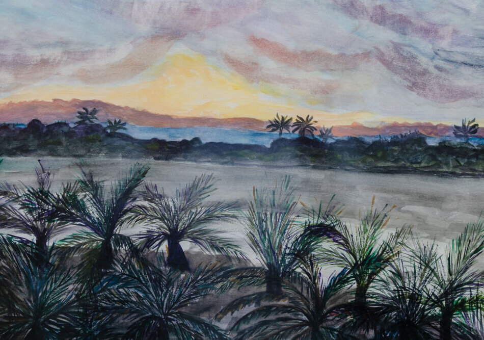 Paisaje de palmeras