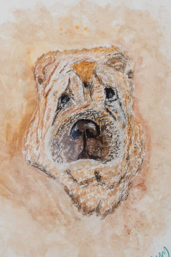 Perro