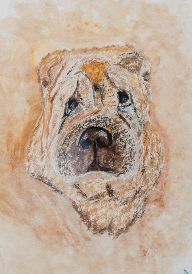 Perro