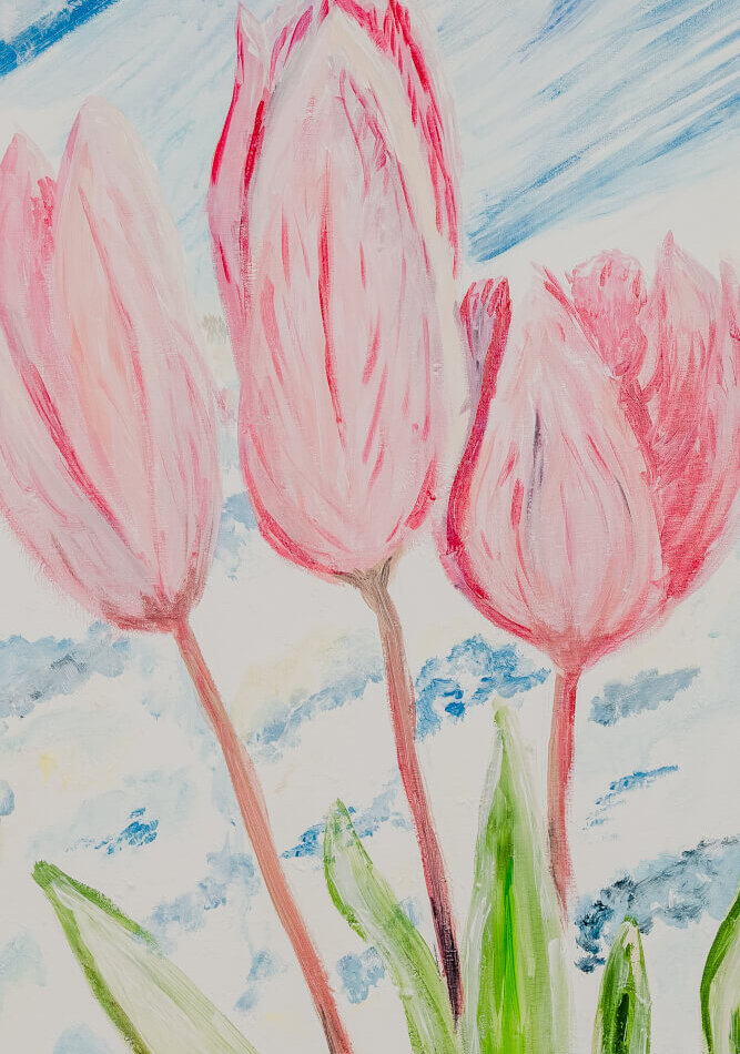 Tulipanes