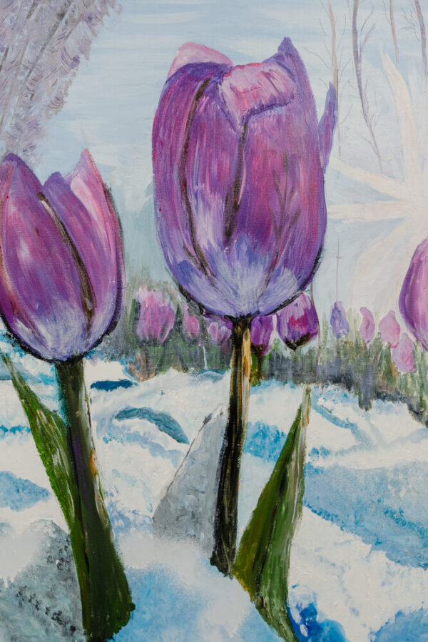 Tulpen 2