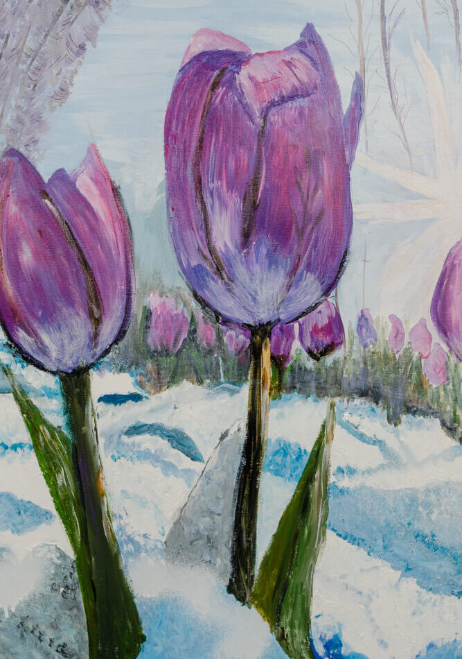 Tulipanes 2