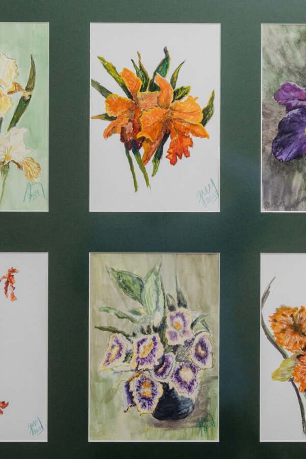 Variedad de flores