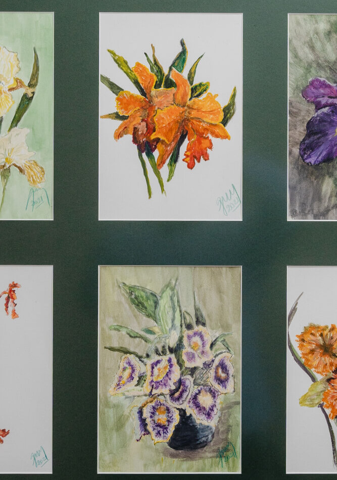 Variedad de flores