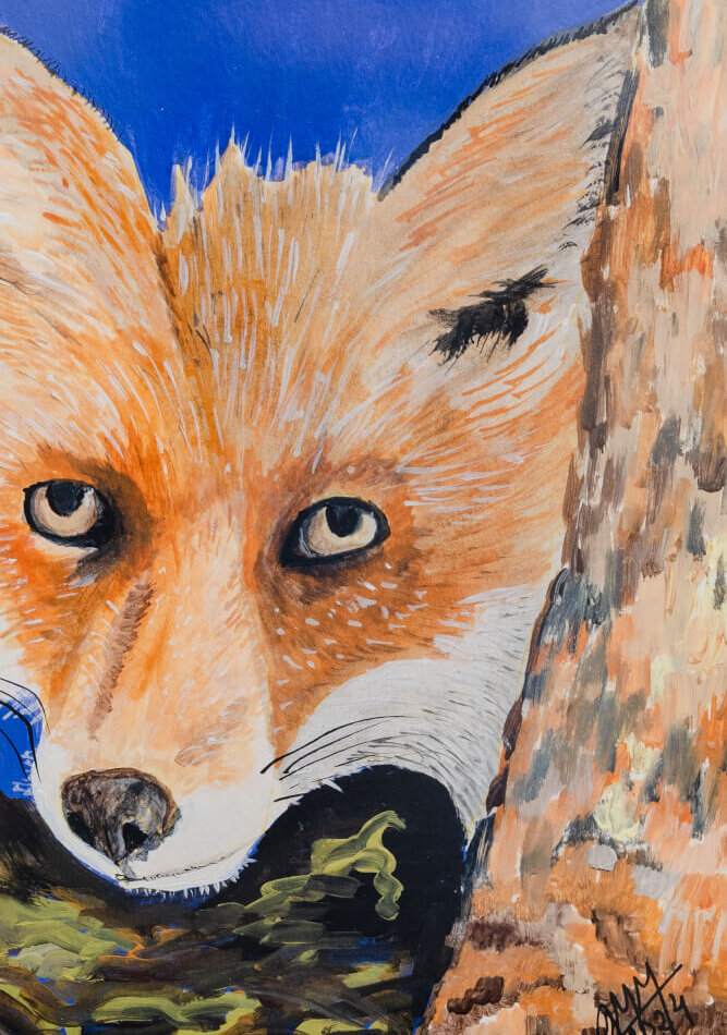 Zorrito