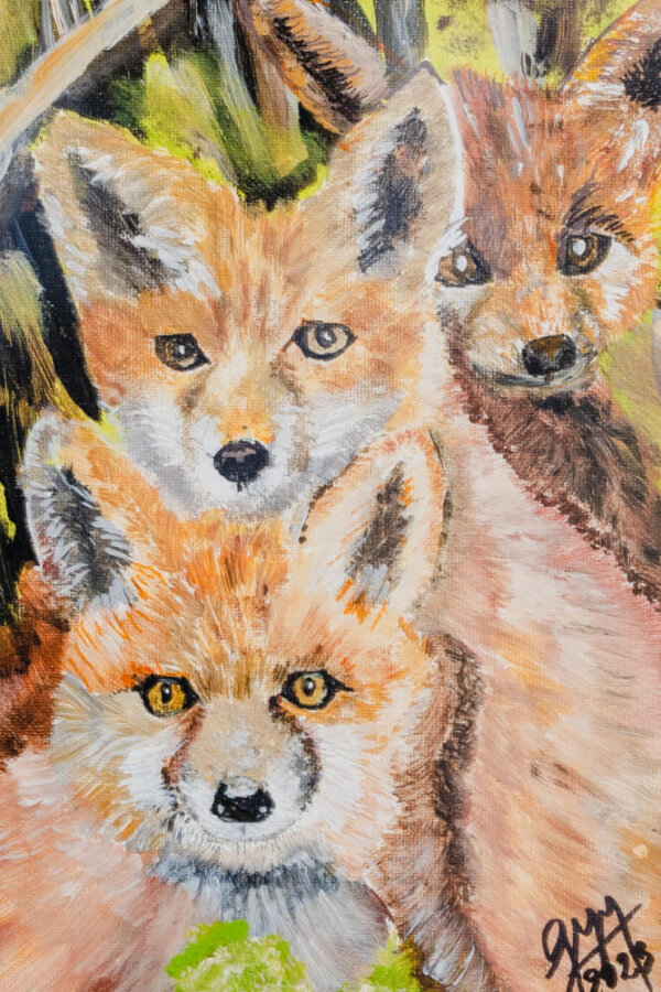 Zorritos