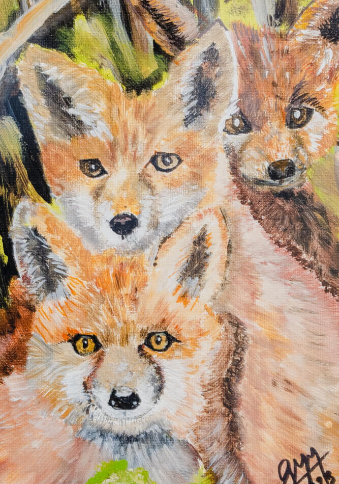 Zorritos