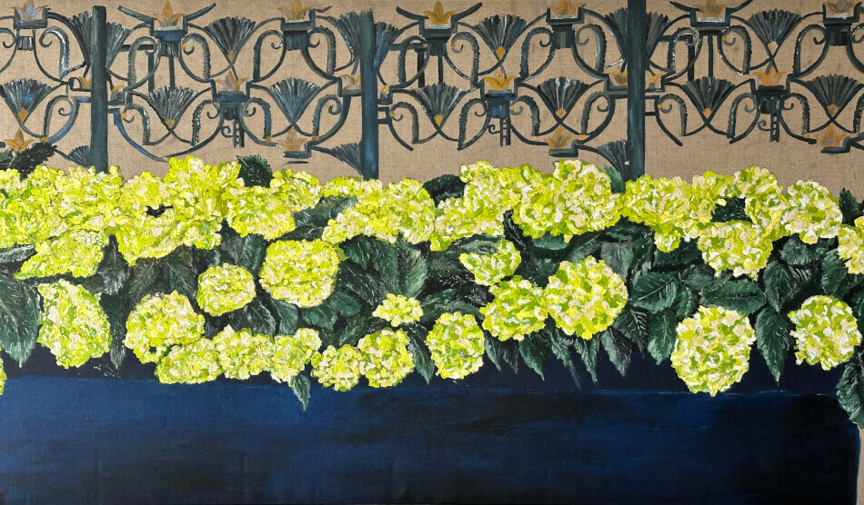 Potted hydrangeas